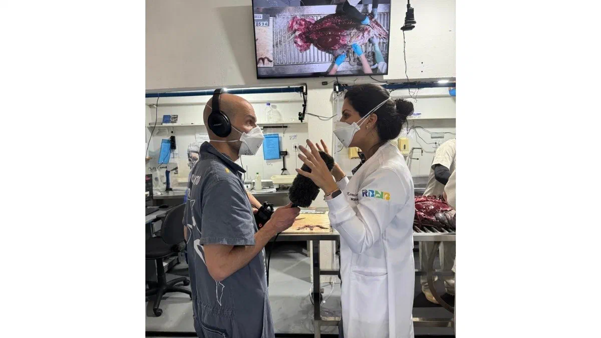 Kamilla Souza em entrevista para a NPR